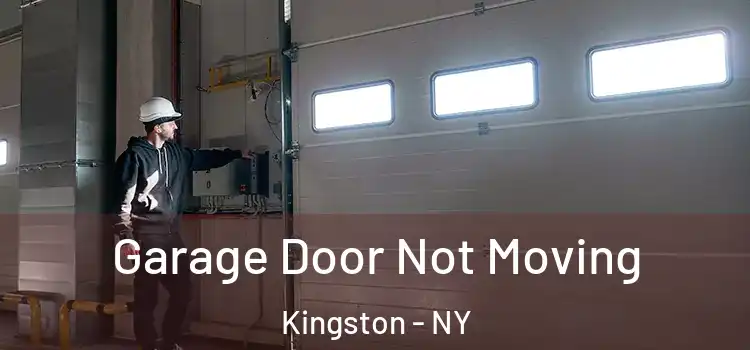  Garage Door Not Moving Kingston - NY
