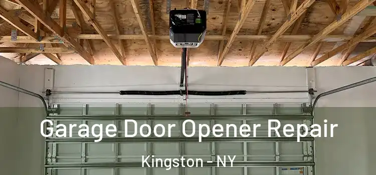  Garage Door Opener Repair Kingston - NY
